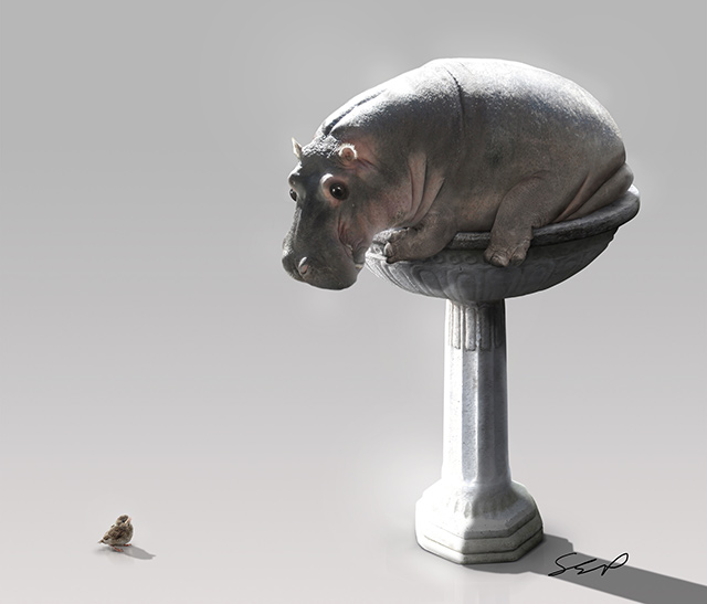 Hippo Bird Bath Manipulation
